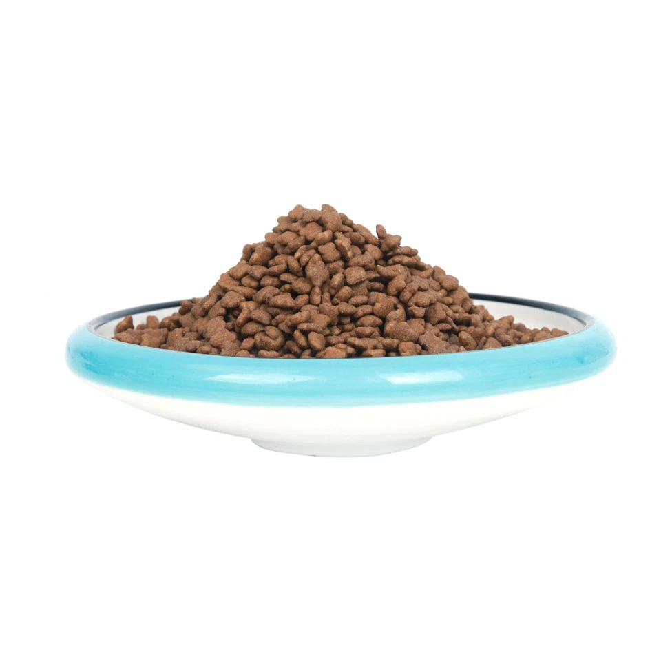 A Factory For High Quality Healthy Dog Food